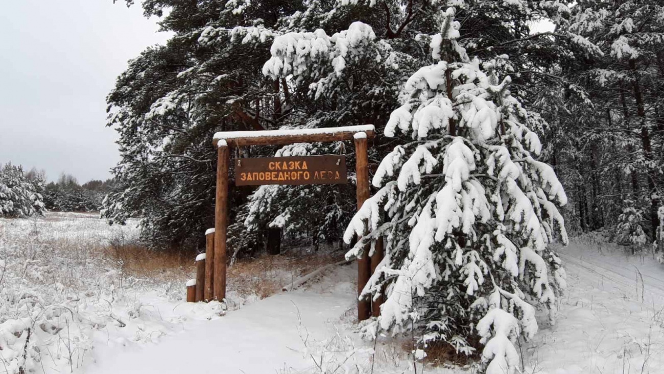 В феврале в заповеднике «Большая Кокшага» откроется «Заповедная поляна»