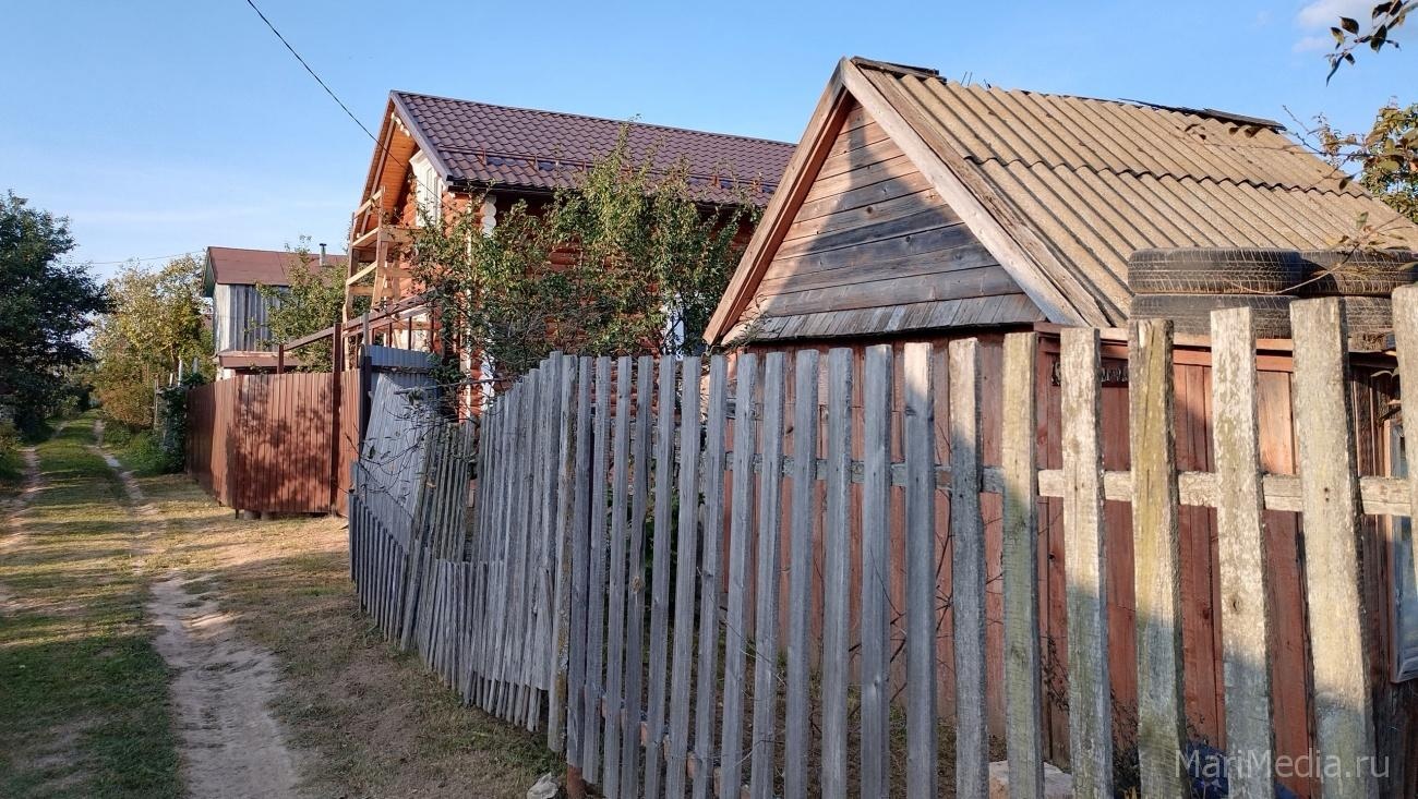 Житель Марий Эл выращивал коноплю на приусадебном участке