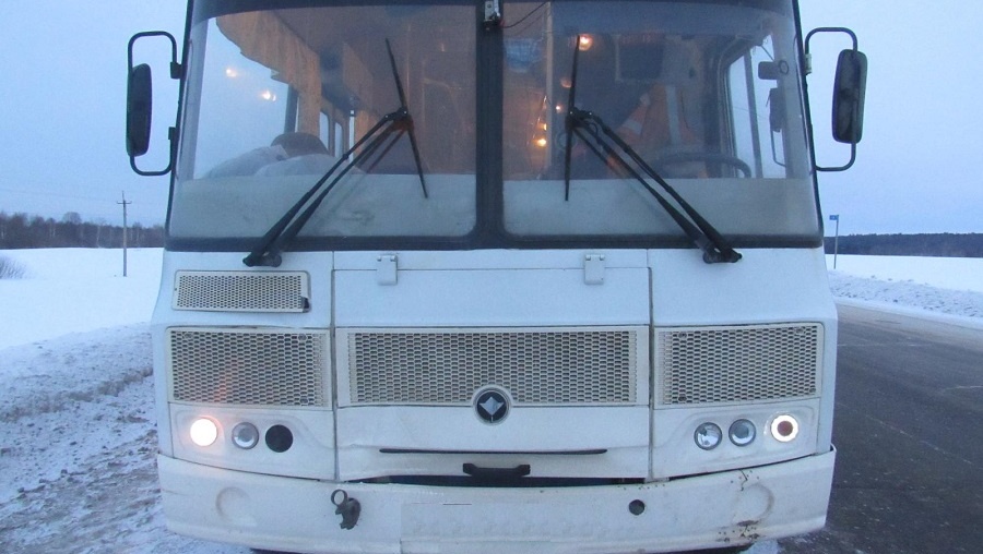 В Звениговском районе под колёсами автобуса погибла женщина