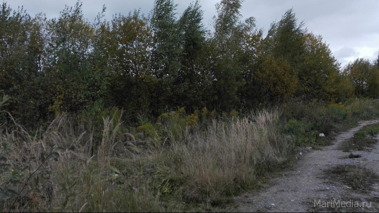 В Смоленской области нашли медальон красноармейца, уроженца Моркинского района