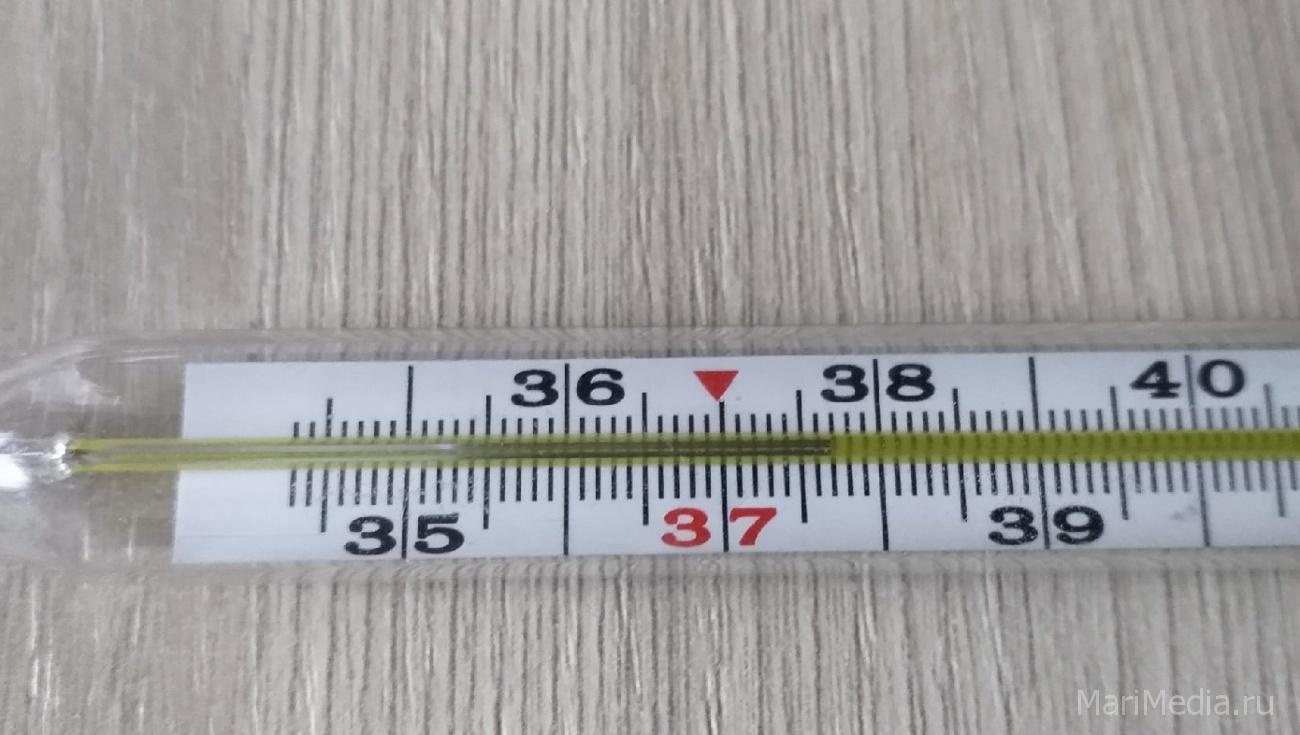 В Марий Эл снизилось число заболеваний ОРВИ