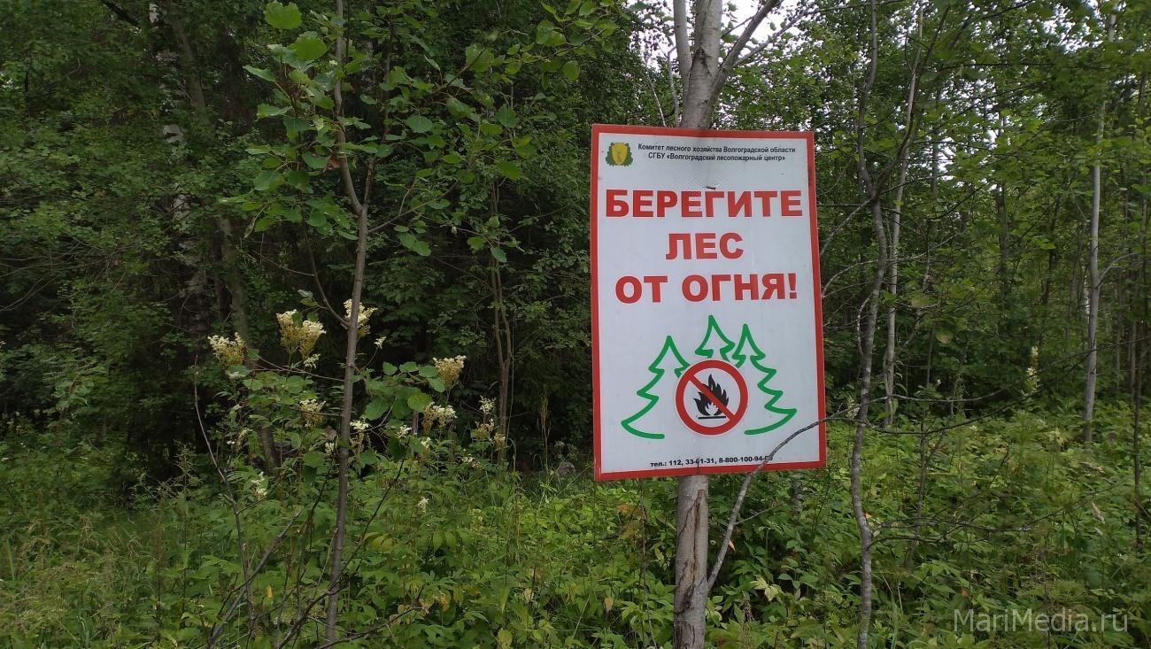 В Марий Эл запрещён въезд транспорта на территорию лесного фонда