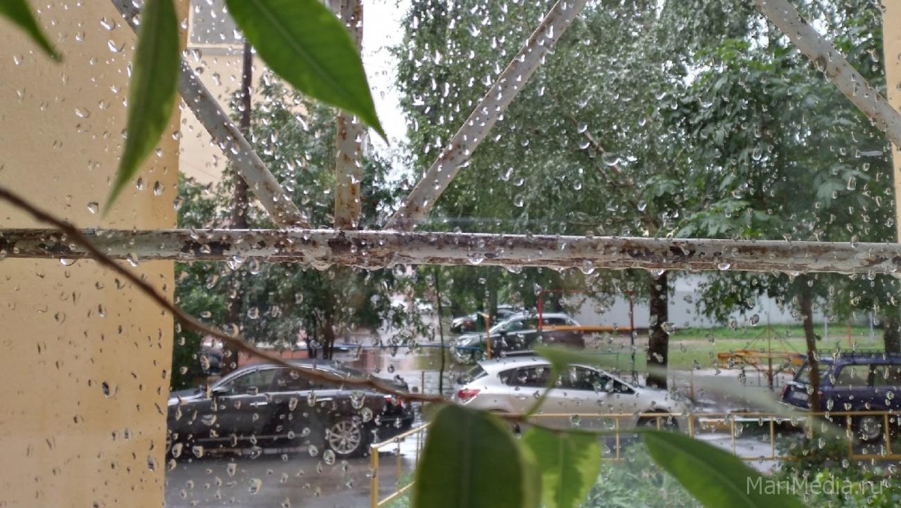 Третья декада июня в Марий Эл будет холодной