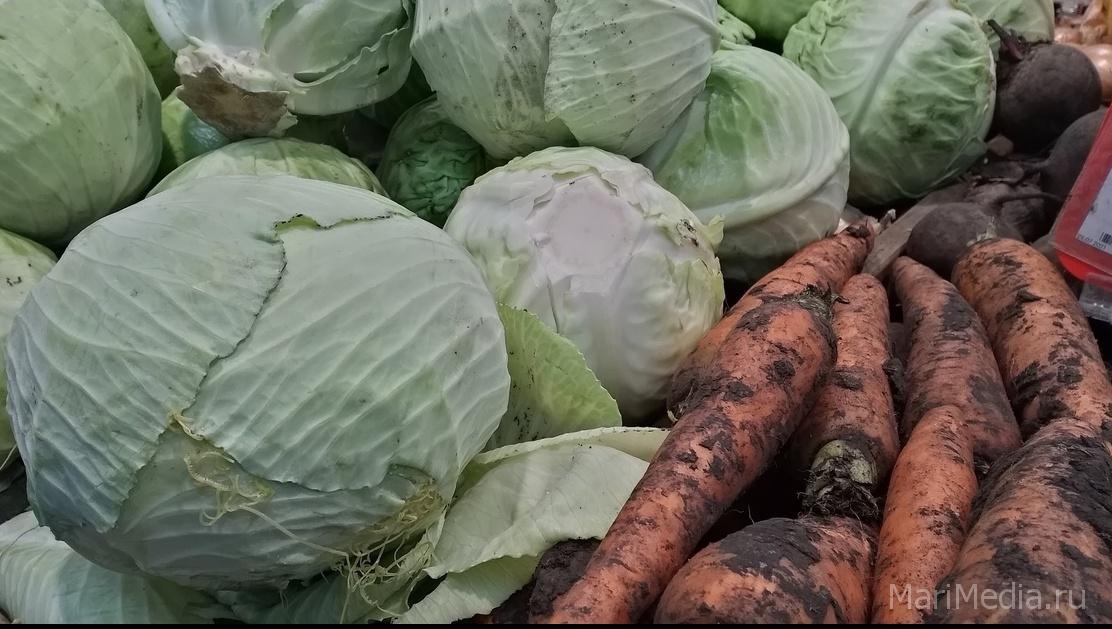 На какие продукты планируют снизить торговую наценку