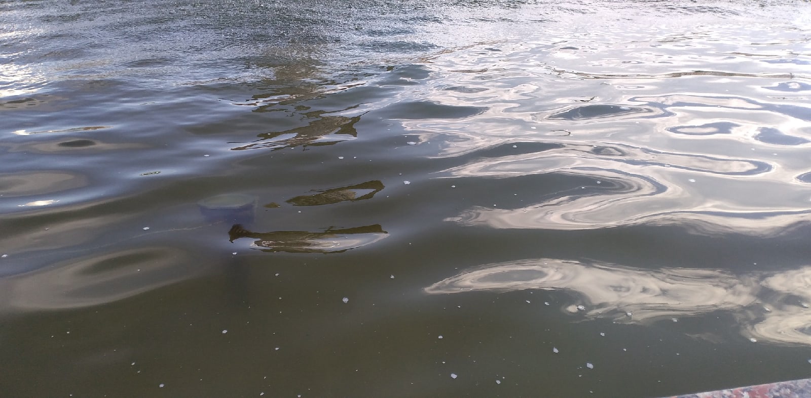 В деревне Арбаны в пруду утонул человек