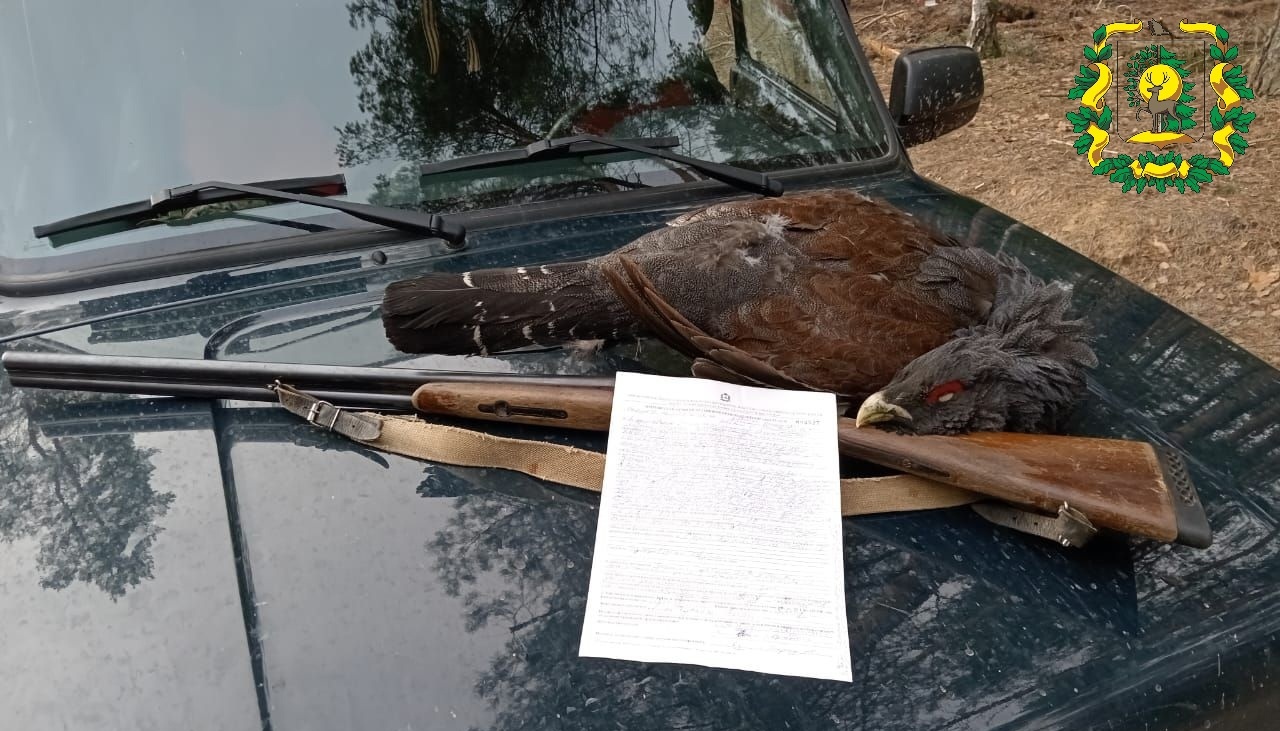 Жителя Нижегородской области поймали во время незаконной охоты