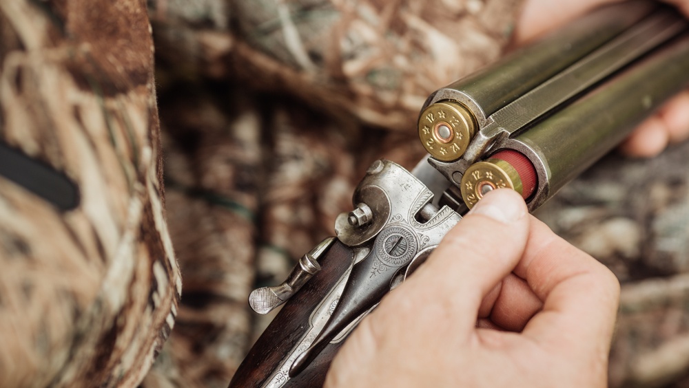 В Марий Эл разрешена охота на одичавших кошек и собак