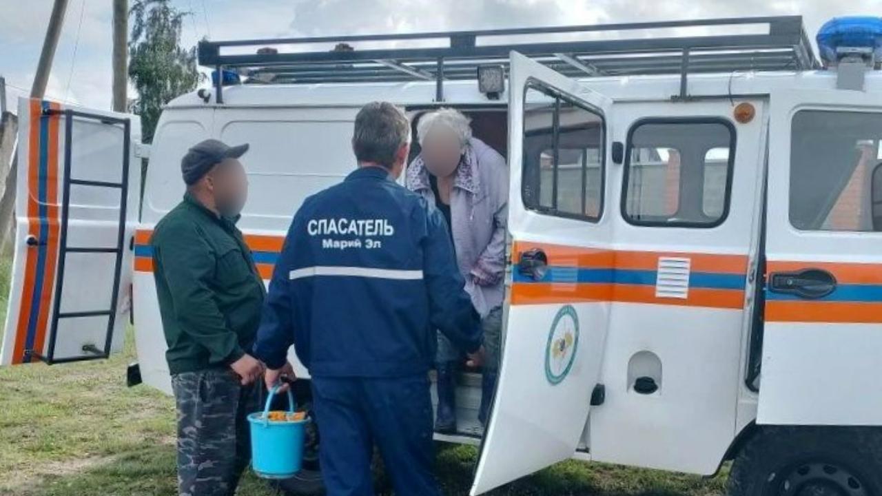 В лесу Звениговского района заблудились два грибника