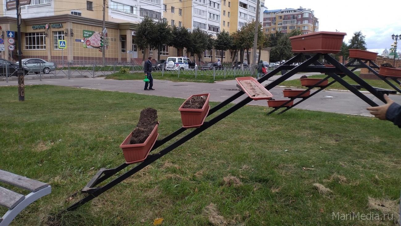В Йошкар-Оле «раздевают» клумбы
