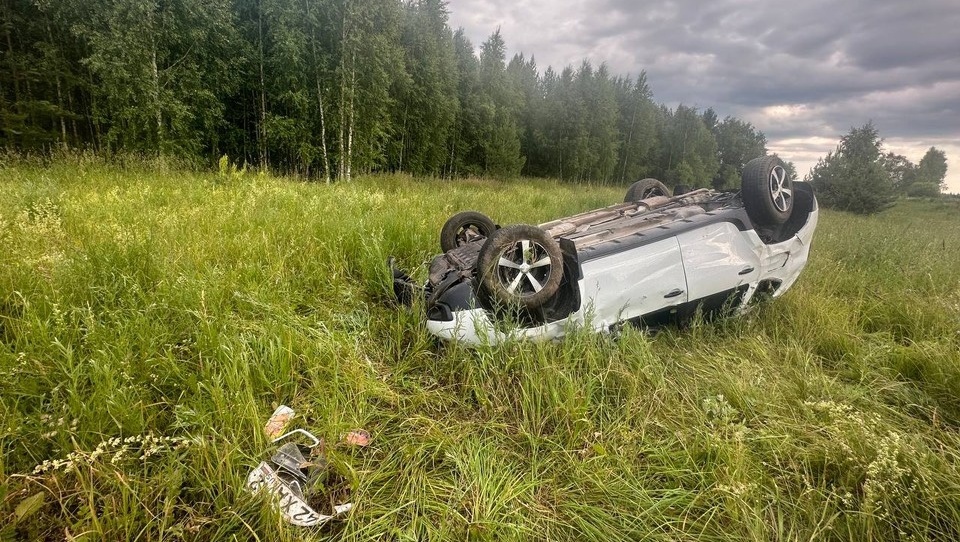 В Волжском районе иномарка перевернулась в кювет, водитель погиб на месте