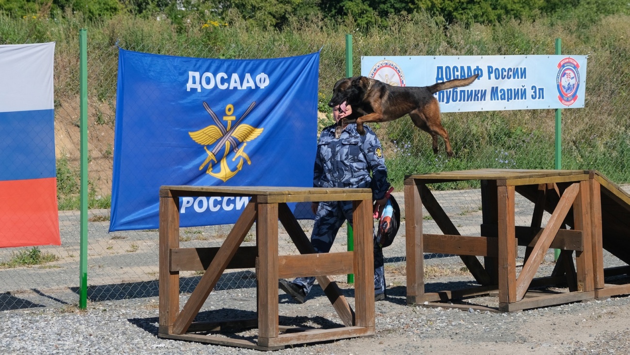 В Йошкар-Оле в Центре служебного собаководства встретились профессионалы и любители