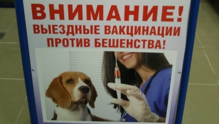 В деревню Шоя-Кузнецово завтра приедут ветеринары