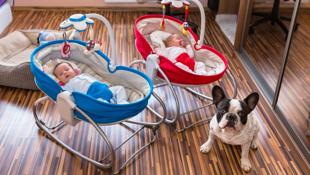 В Марий Эл в марте появились на свет Сюмбель и Космос