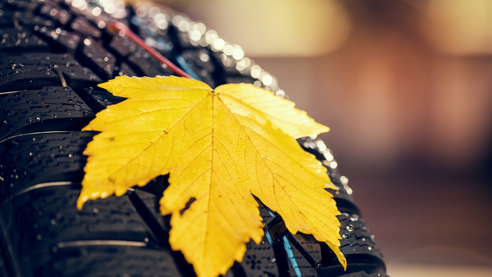 В Марий Эл ночью температура опустится до нуля