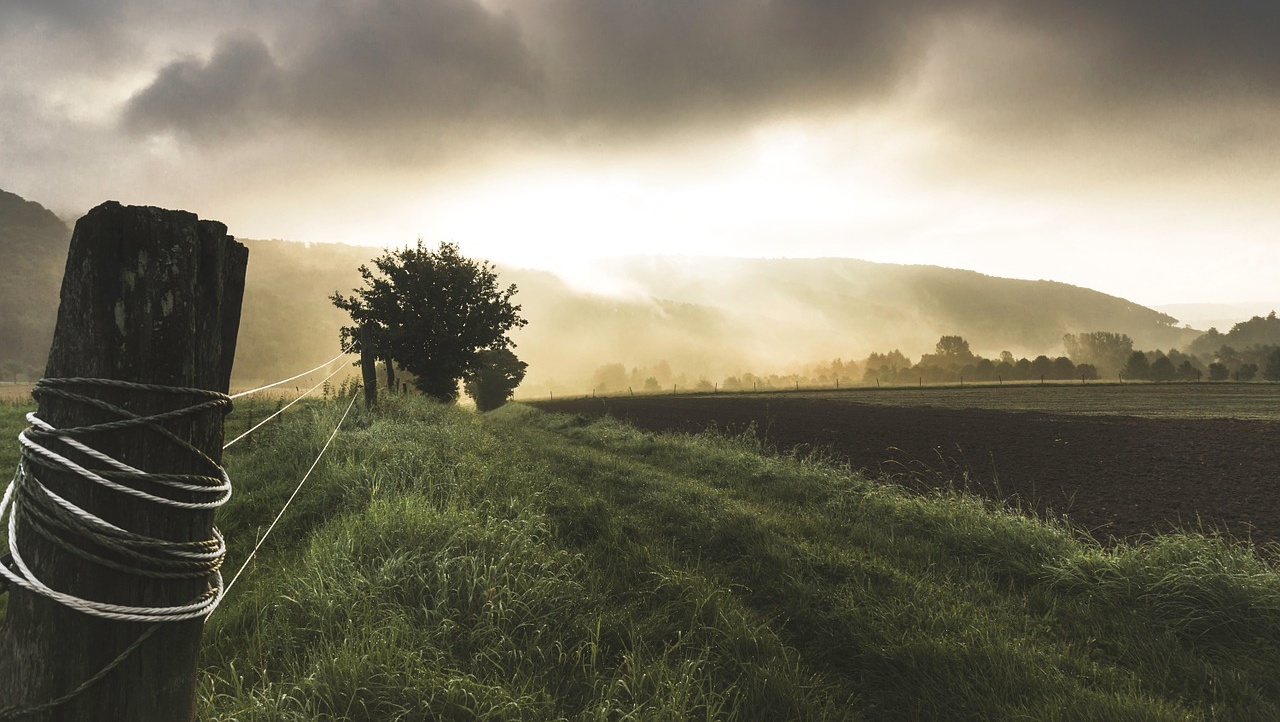 Росреестр готовится к тотальным проверкам соблюдения земельного законодательства