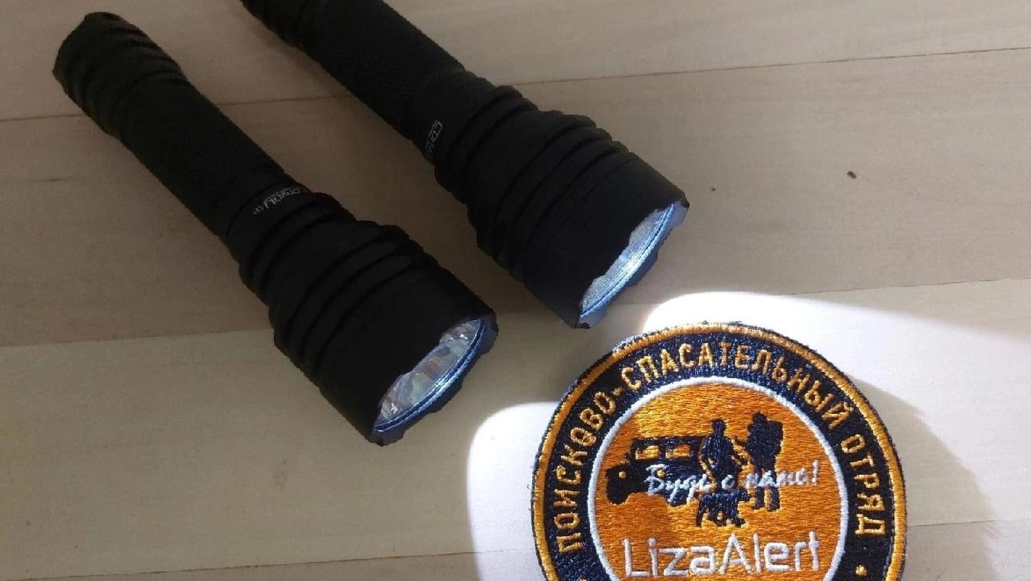 В феврале волонтёрам «ЛизаАлерт» поступило 14 заявок