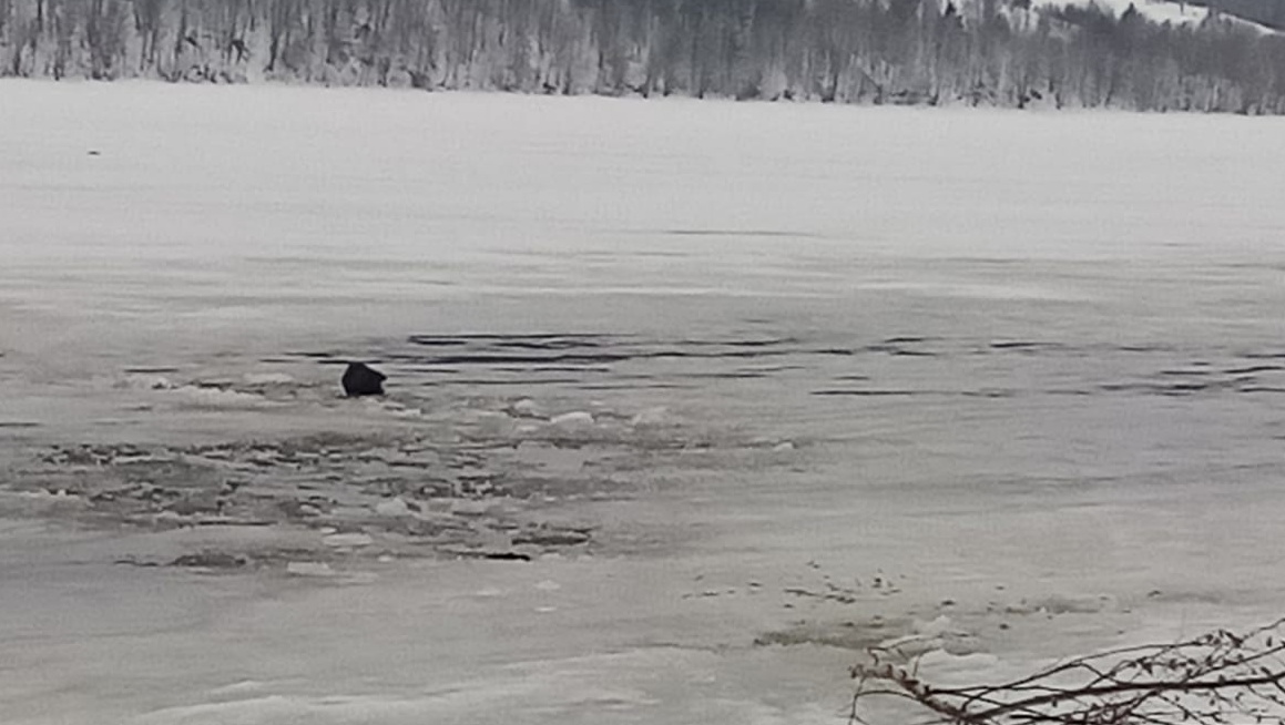 Марийские спасатели бежали 2 км по льду для спасения провалившегося на Волге