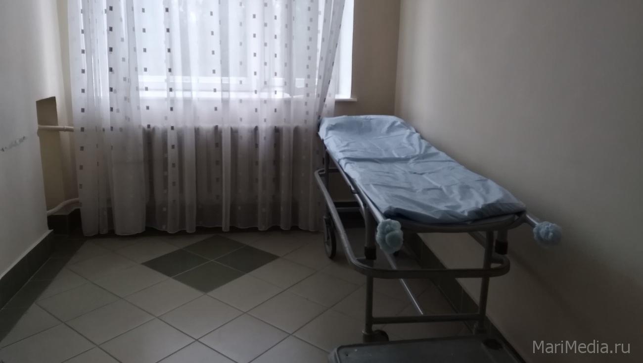 В инфекционных стационарах Марий Эл лечатся 386 человек
