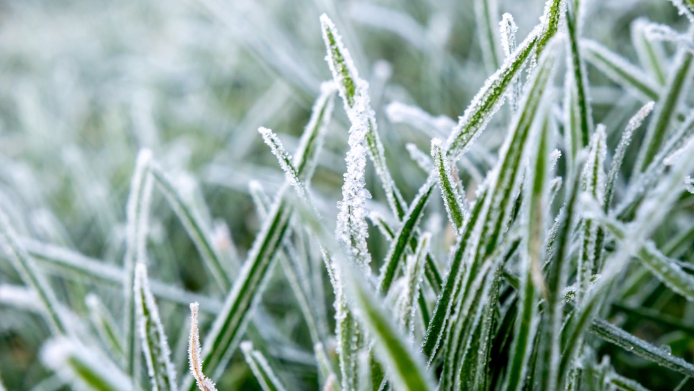 Ночью в Марий Эл прогнозируют слабые заморозки
