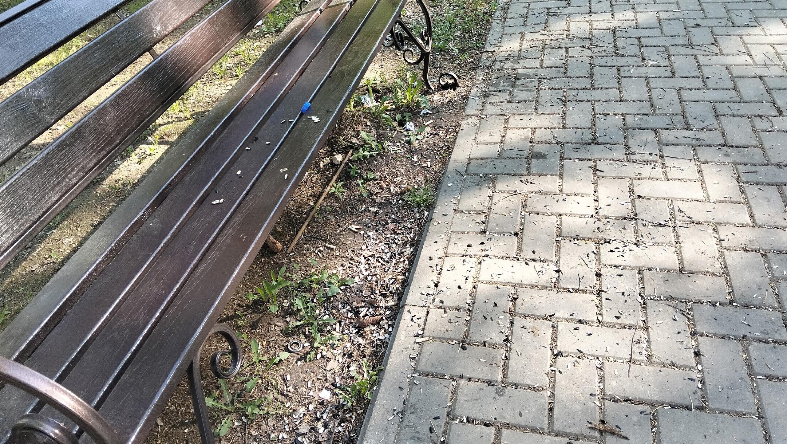 В парке культуры и отдыха в Йошкар-Оле жалуются на ежедневные груды мусора 