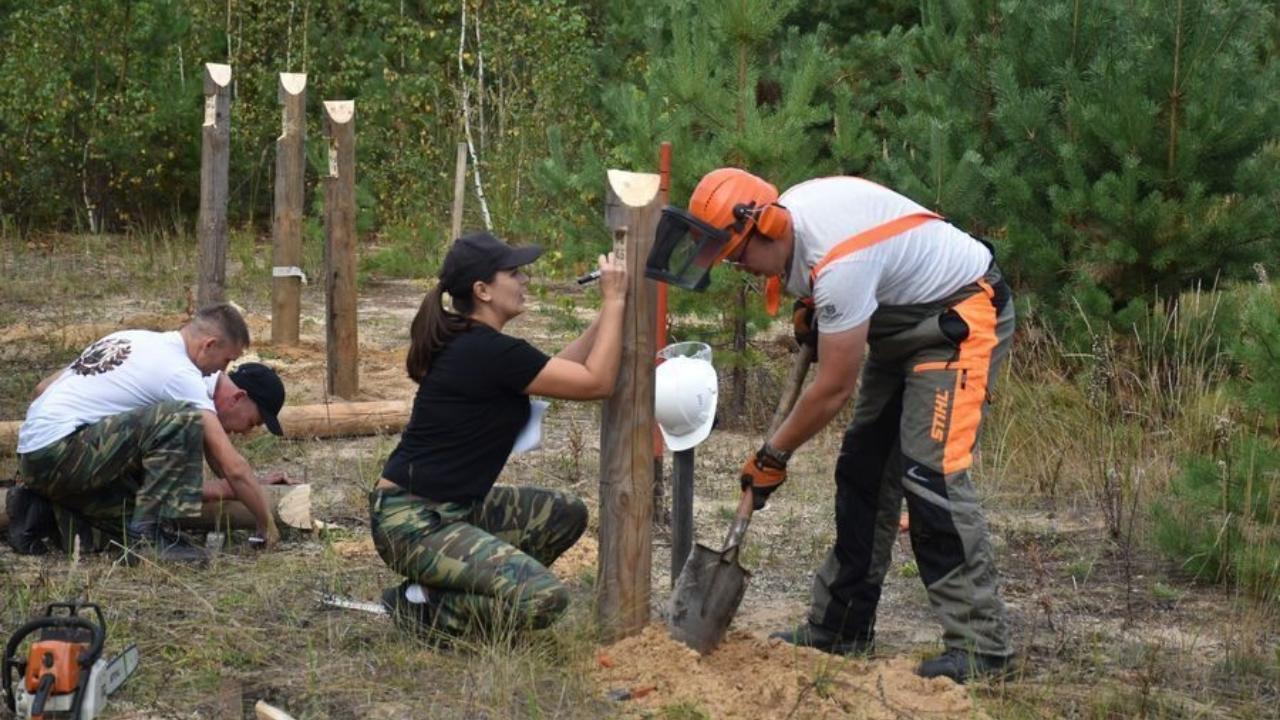 Лесничества в Марий Эл выяснили, кто из них лучший по профессии
