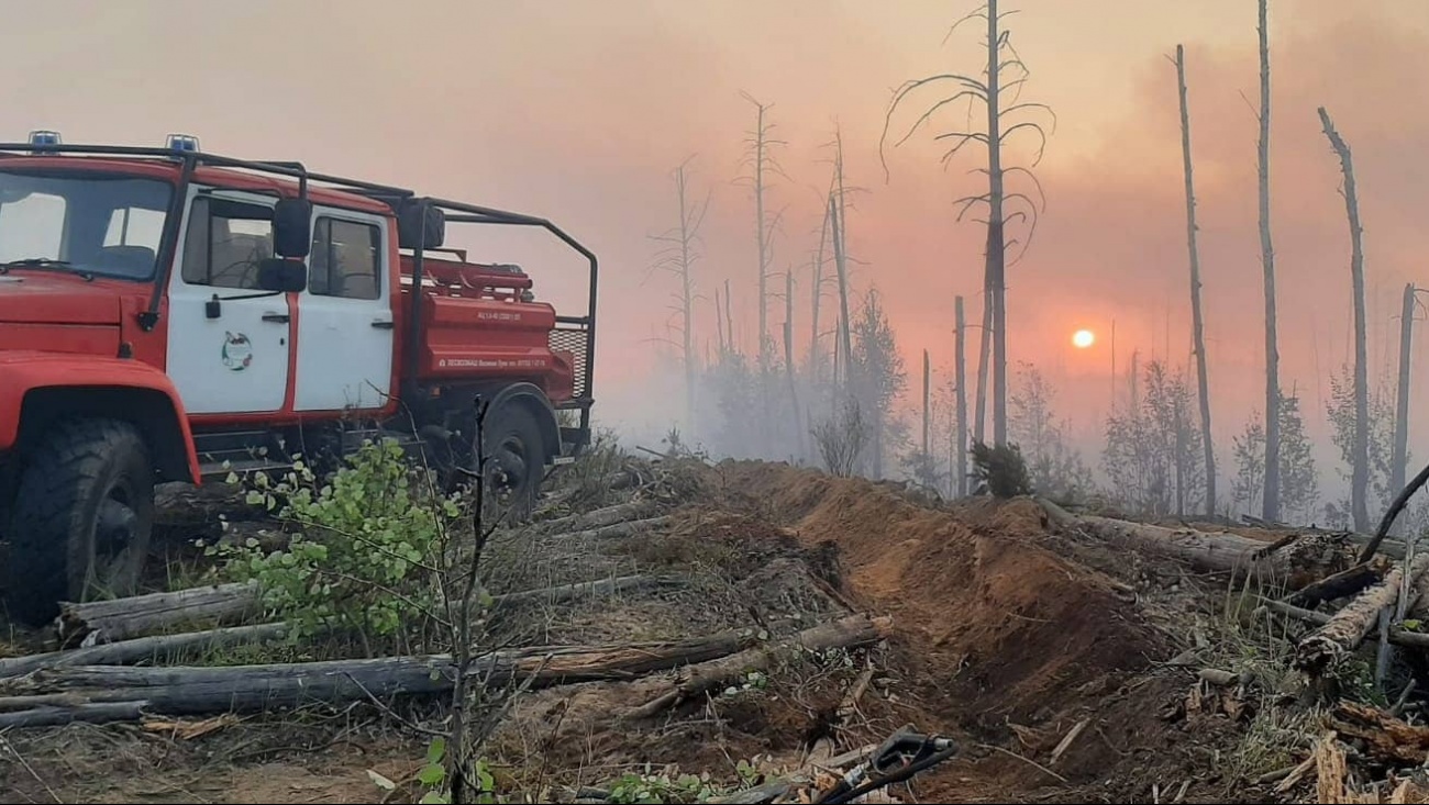 В трёх километрах от посёлка Сосновый бор горит лес