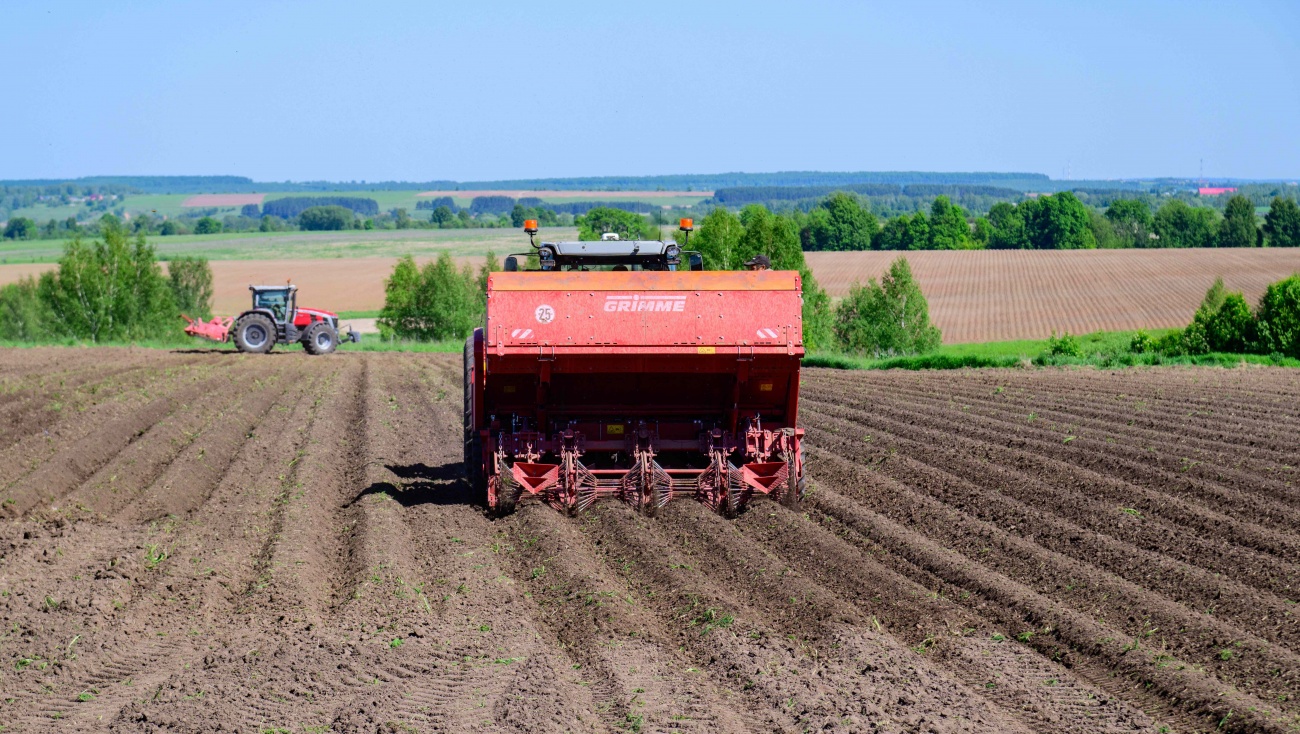 Марий Эл предлагает снизить НДС в 2 раза на переработанные овощи