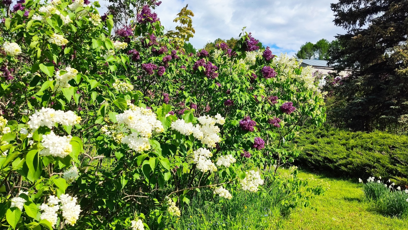 В Марий Эл пришло летнее тепло
