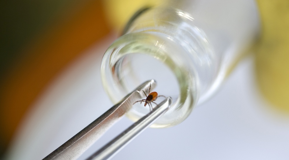 Первой жертвой клещей в Марий Эл стала школьница