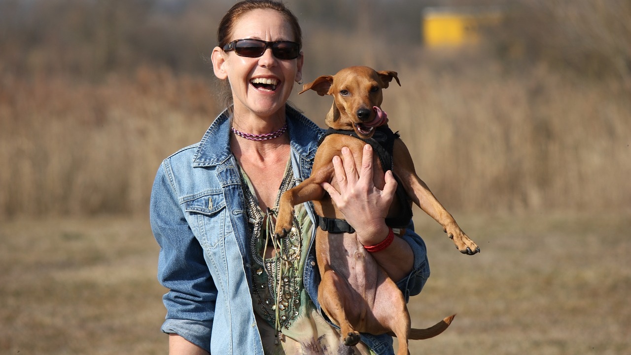 Что изменится в 2020 году для животных и их хозяев