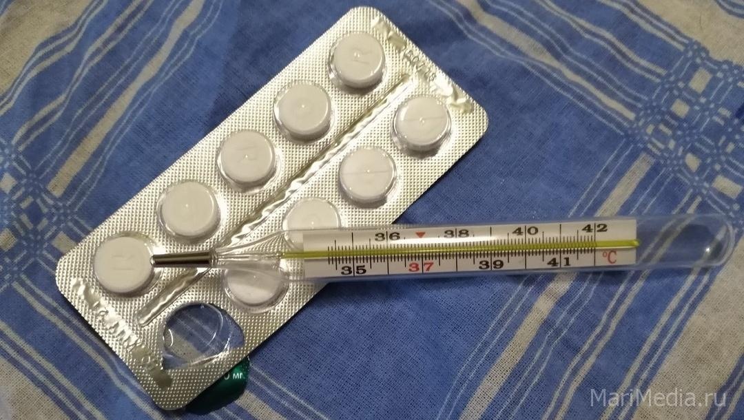 В Марий Эл эпидемический порог по ОРВИ превышен на 23,9%