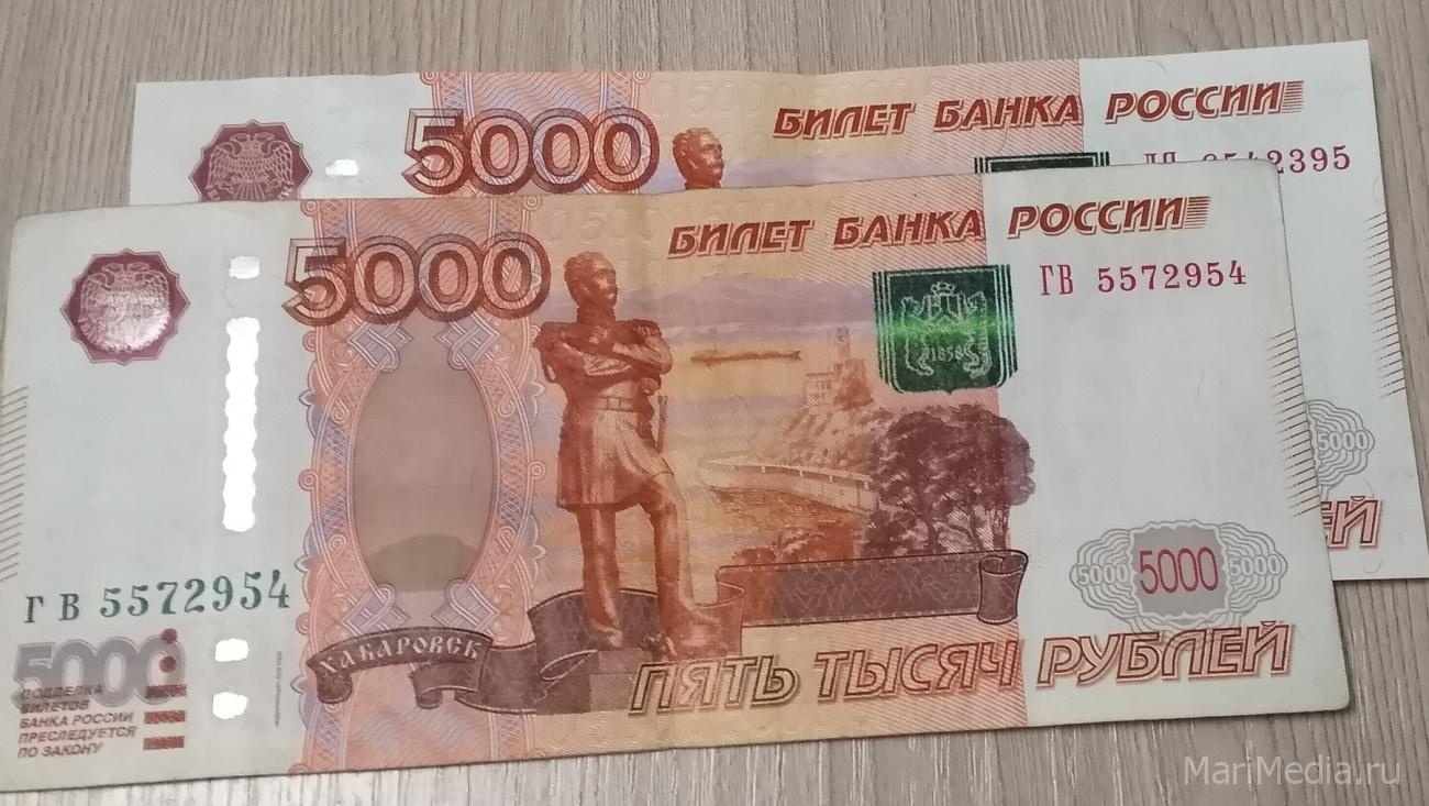 В Марий Эл перечисляют соцвыплаты на детей