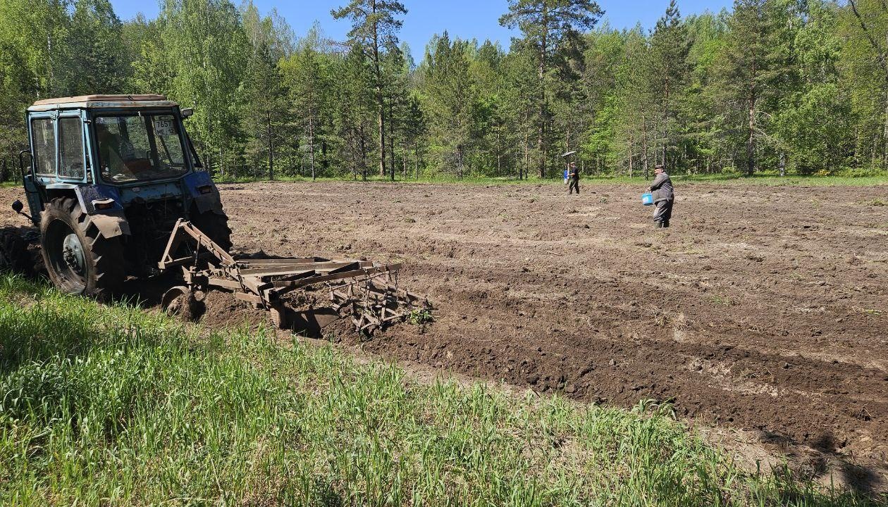 В Марий Эл завершилась «посевная кампания» для животных
