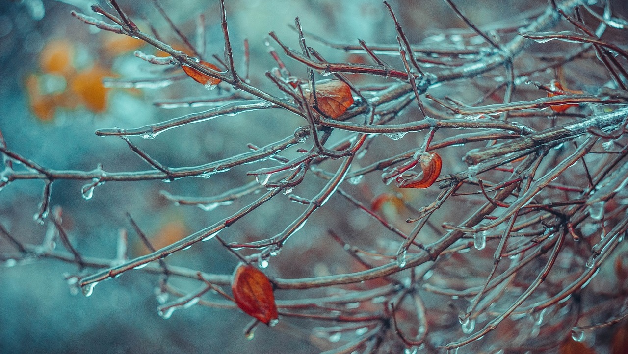 Аномально тёплая погода в Марий Эл продержится неделю