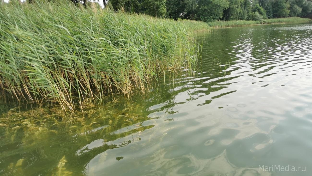Какими болезнями можно заразиться во время купания в стоячих водоёмах