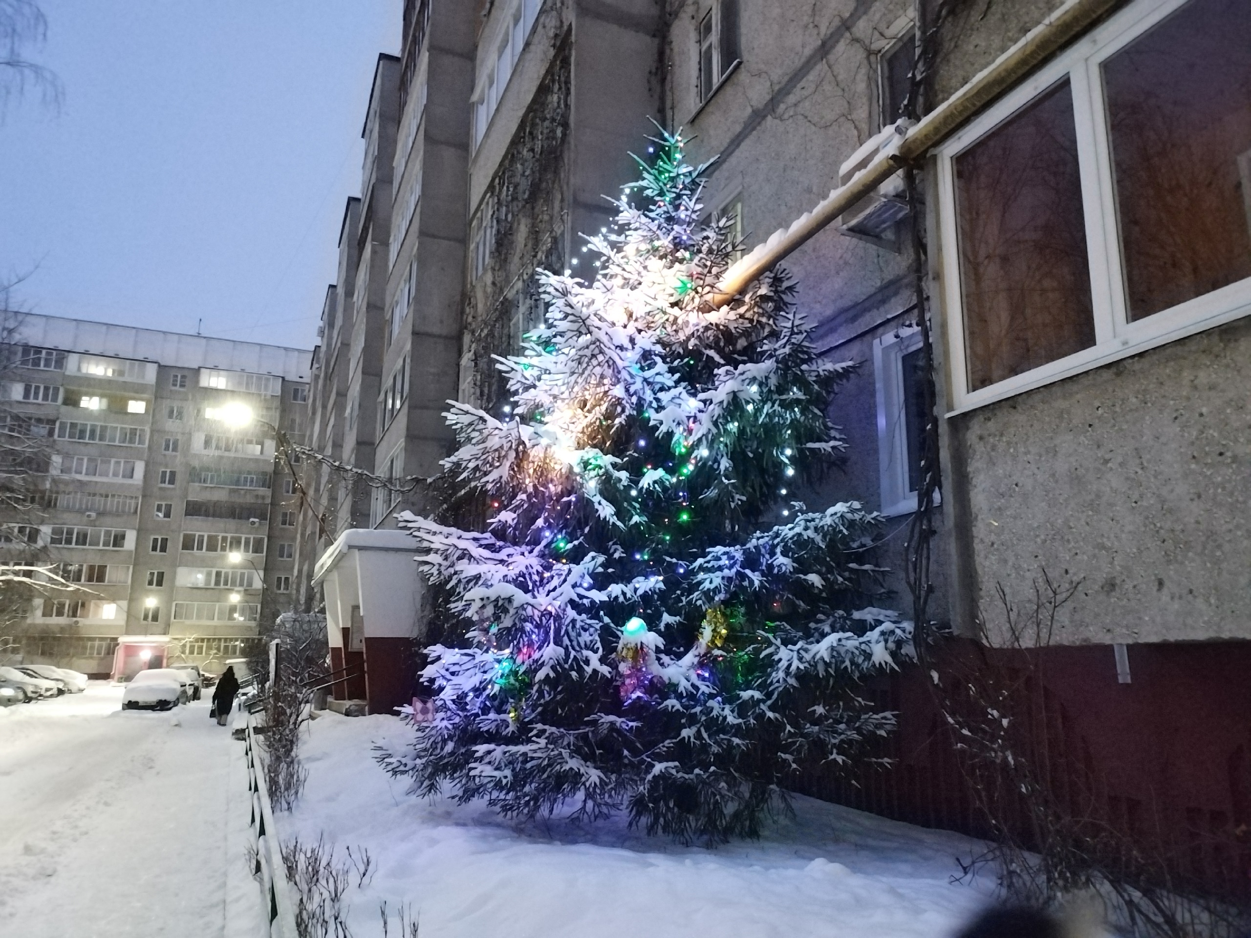 Марийский ЦГМС: Новогодние ночи за последнее 15 лет