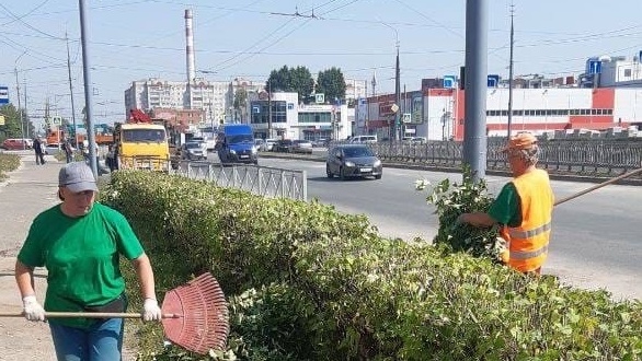 В Йошкар-Оле приводят в порядок кустарники и деревья
