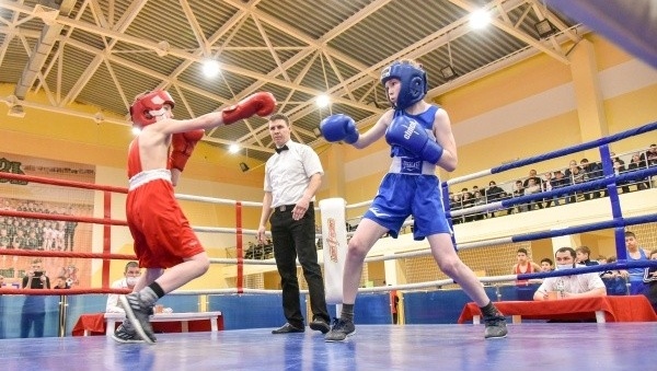Почётными гостями турнира по боксу в Марий Эл стали чемпионы мира и России