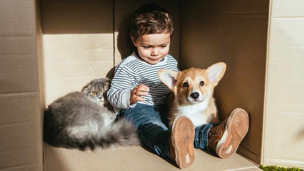 Особенности продажи жилья, приобретенного за счёт маткапитала