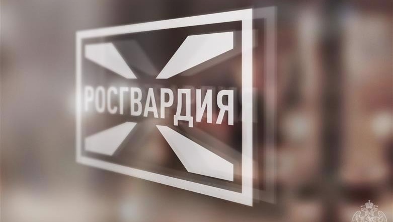 Единый день голосования в Марий Эл пройдёт без оружия