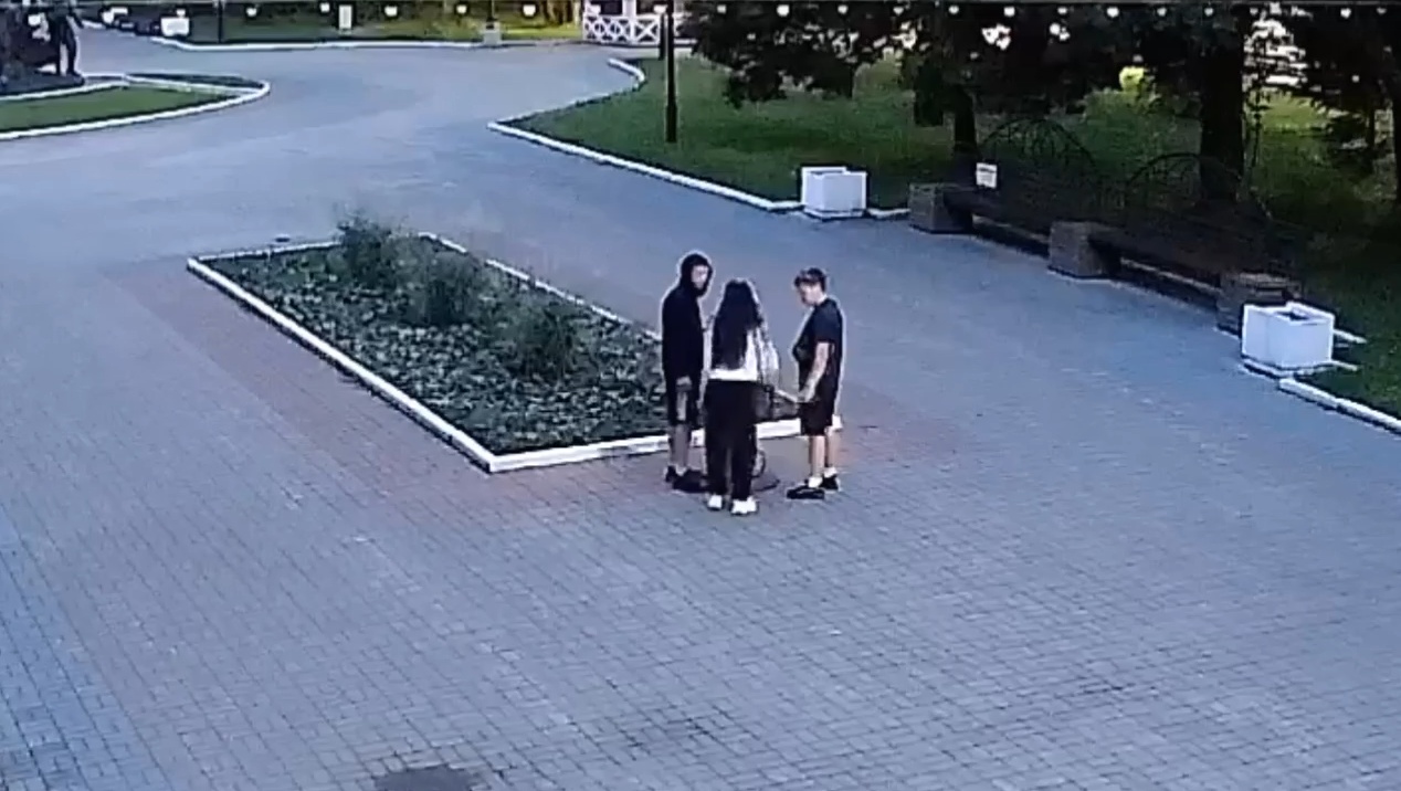 Появилось видео вандалов, утащивших Ириску из парка в Йошкар-Оле