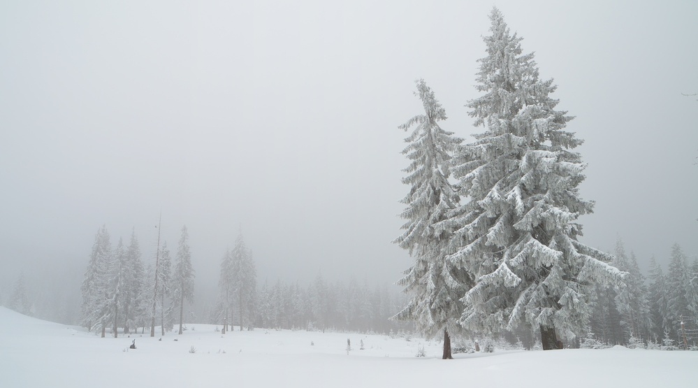 Завтра синоптики прогнозируют в Марий Эл метель и сильный снег