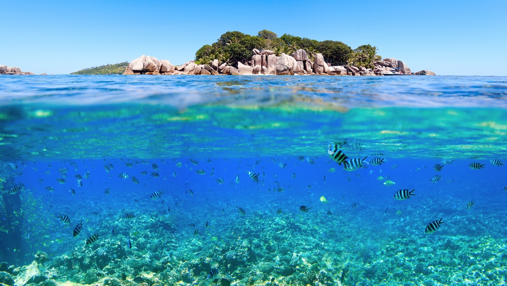 Мнение эксперта: чем можно заразиться в морской воде и фонтане