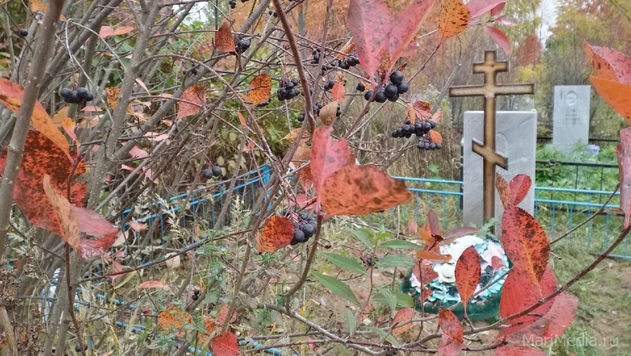 В России за сутки от COVID-19 скончалось 929 человек