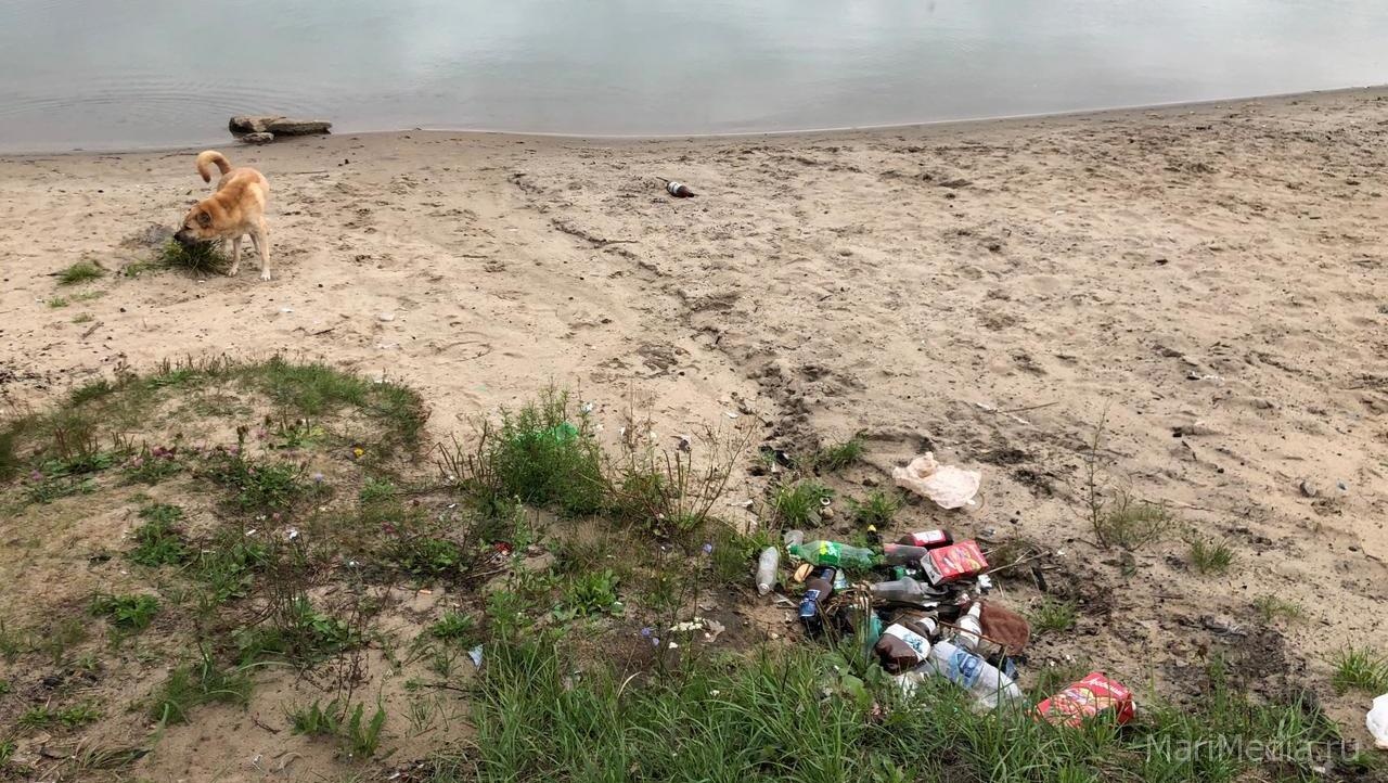 На озере Чихайдарово высадится трудовой десант