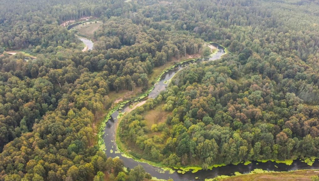 Противопожарный режим в лесах Медведевского района продлён до 10 августа