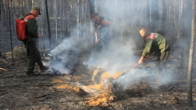 Причина большинства лесных пожаров в Марий Эл – люди