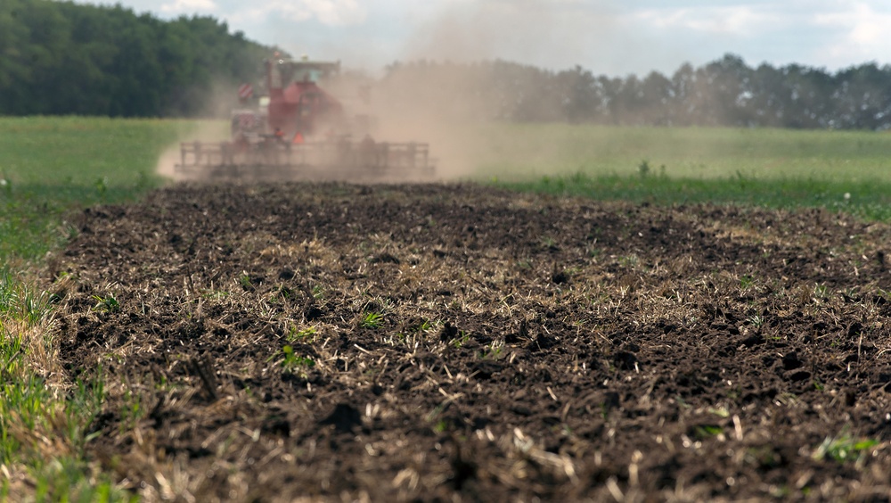 В этом году в Марий Эл яровыми культурами засеют 174 тысячи га полей