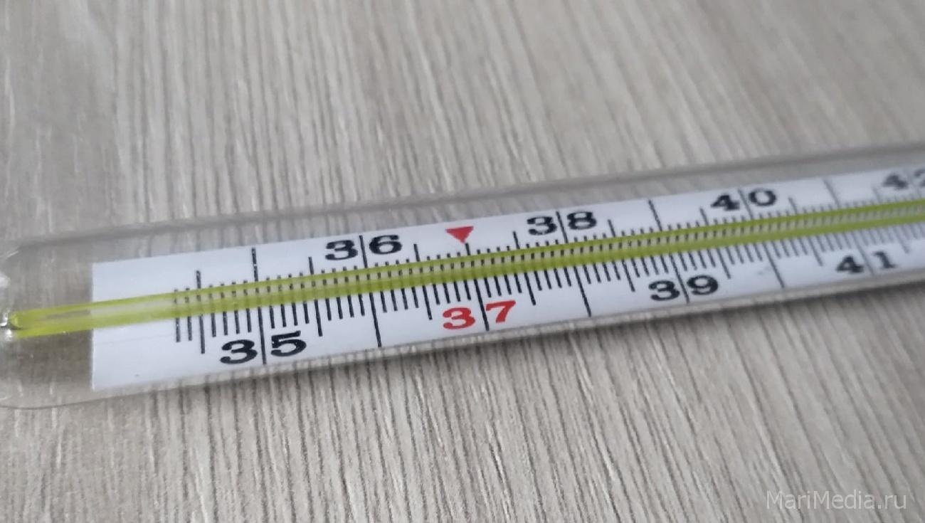 В Марий Эл отмечен сезонный всплеск заболеваемости гриппом и ОРВИ