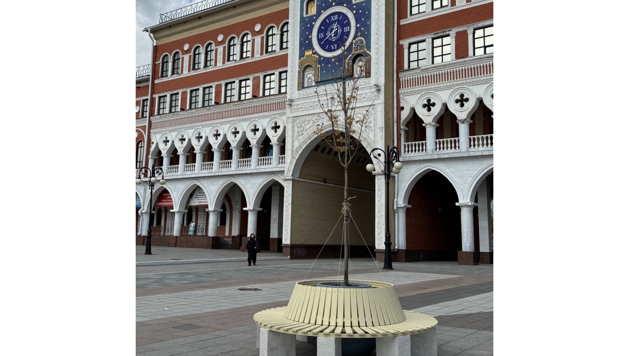 На площади Оболенского-Ноготкова в Йошкар-Оле высадили молодые деревья